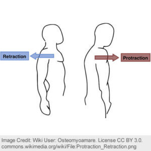 shoulder posture, shoulder injury